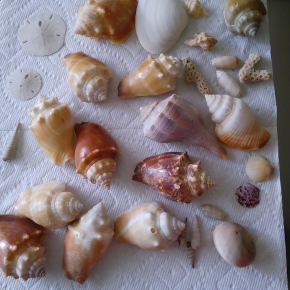 Welcome to my closet! - Picture 3 of 9